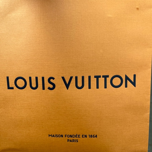 Authentic Louis Vuitton Pochette Coussin - Picture 2 of 6